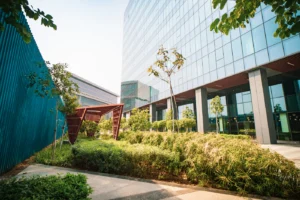 UoSD Garden Area