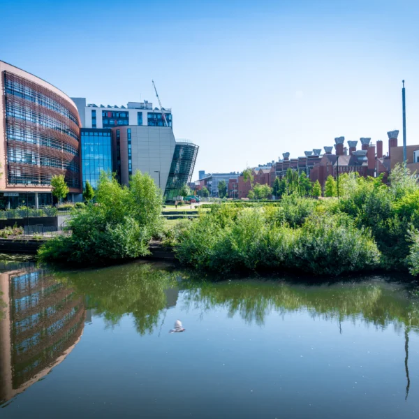 Why Choose DMU 1